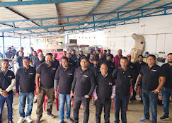 Our Team